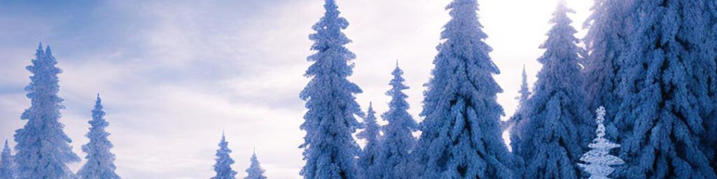 Bild mit winterlicher Landschaft nach Schneefall