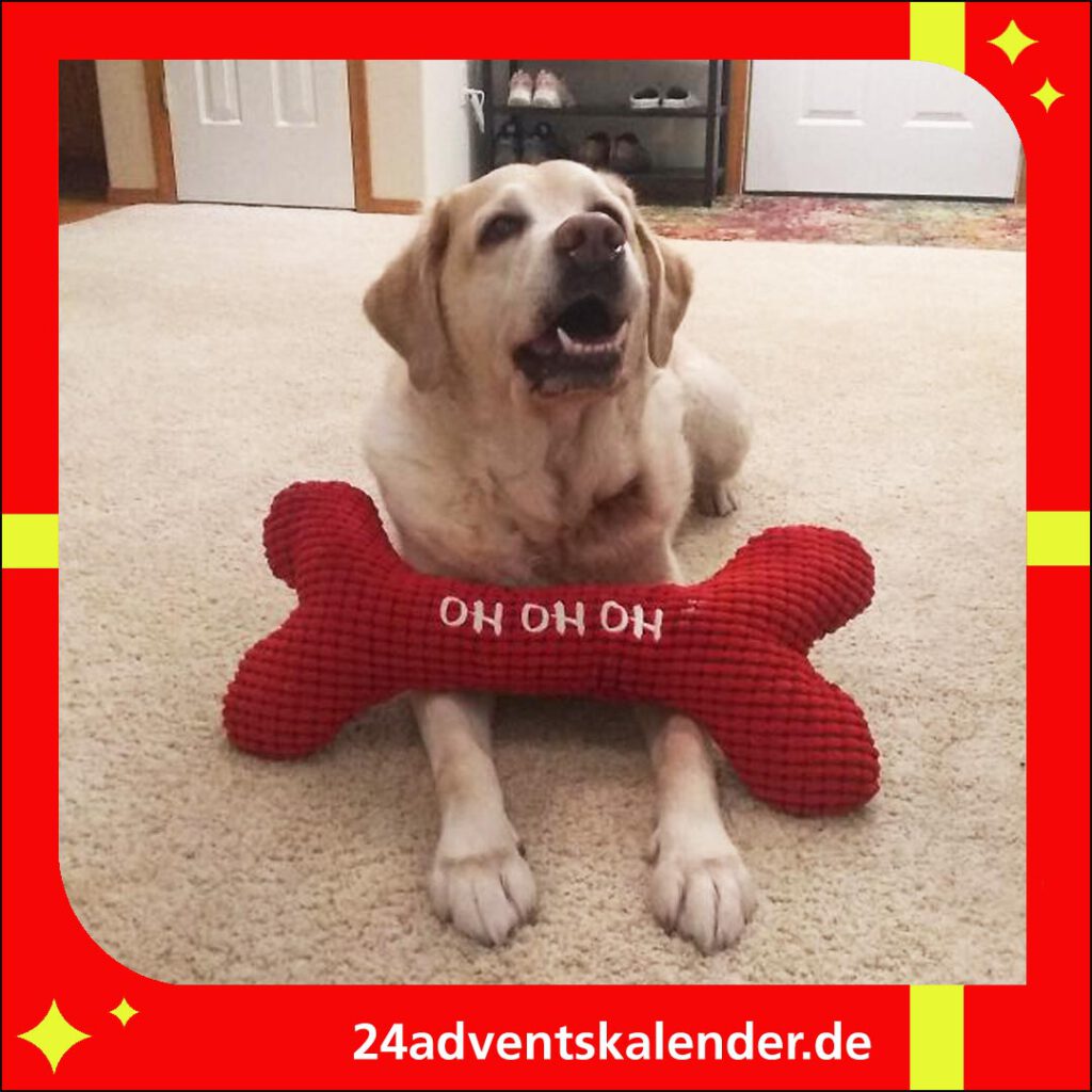 Hund spaßig am Weihnachten kleiden bringt eine zusätzliche Portion Freude in die Feiertage.