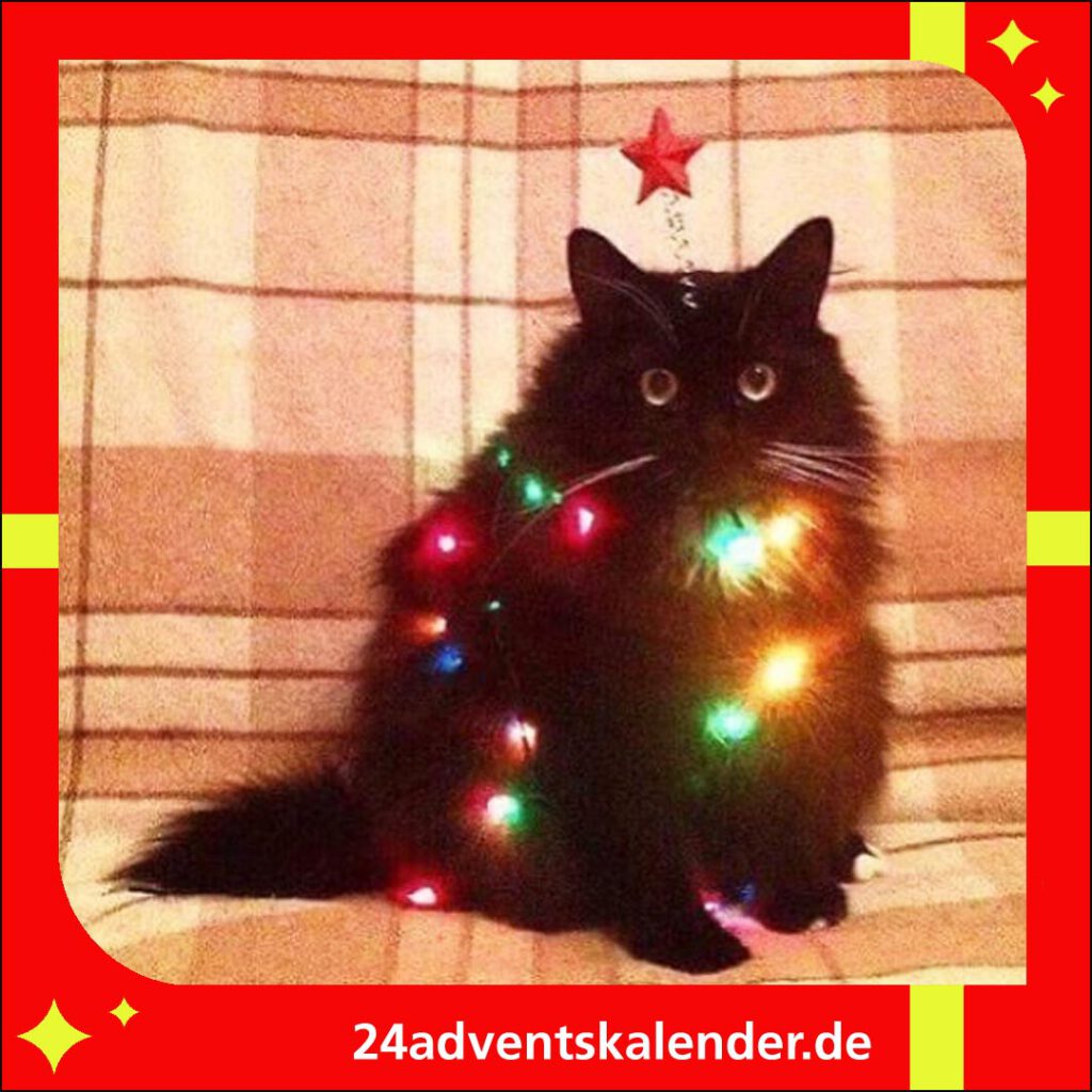 Zur Weihnachtszeit spielt die Katze vergnügt mit der Lichterkette im Wohnzimmer.