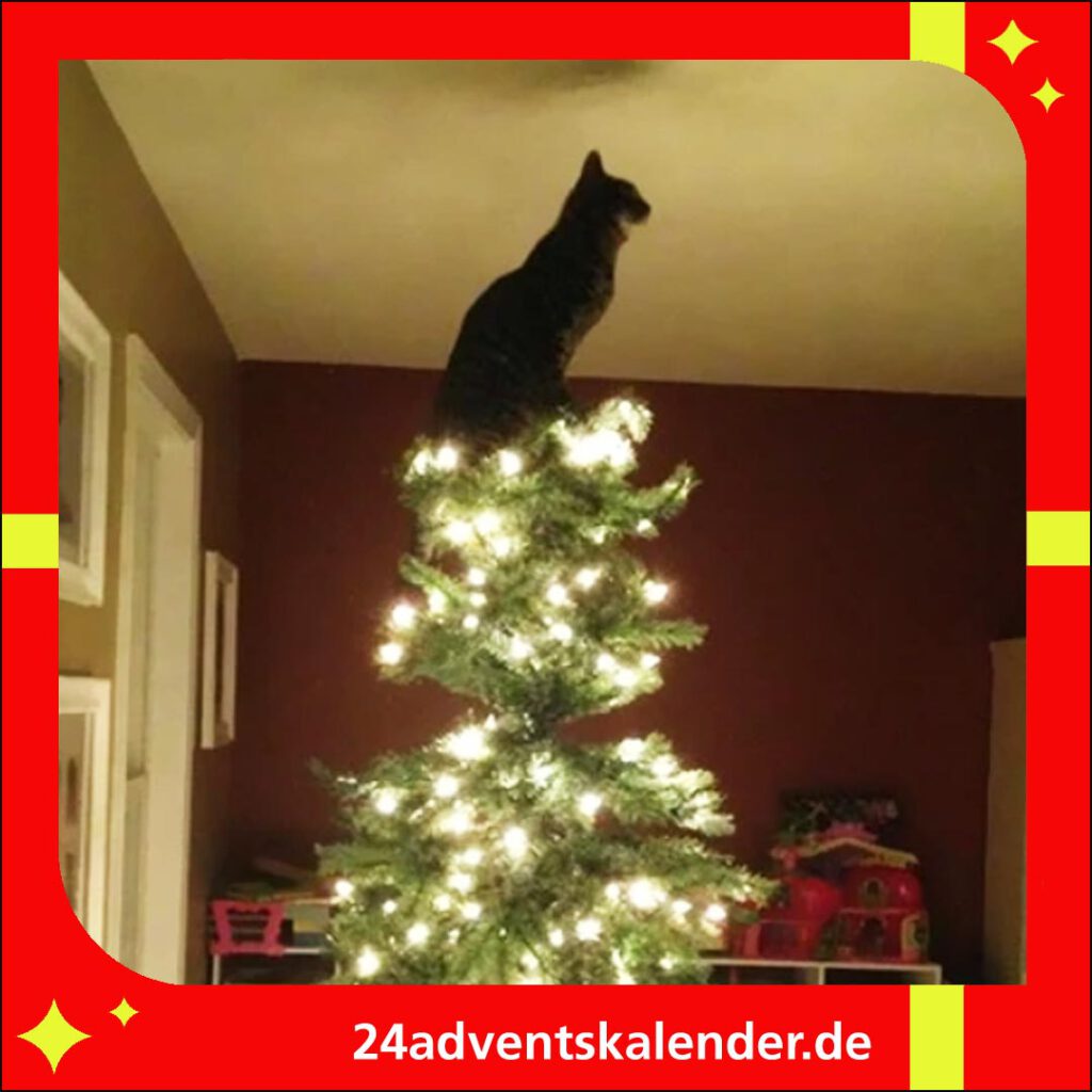 Eine lustige Szene: Die Katze balanciert auf dem Baumstern an Heiligabend.
