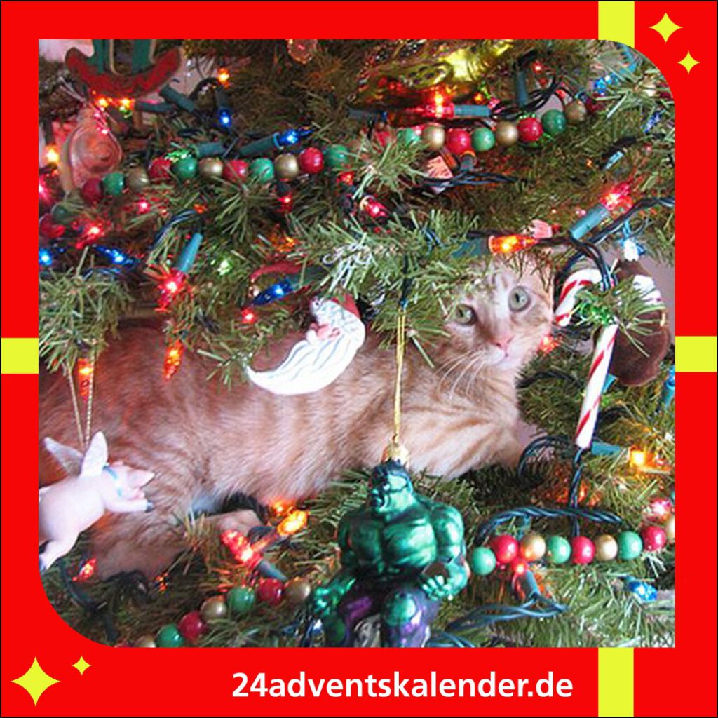 Zu Weihnachten sorgt eine freche Katze für Unterhaltung im Tannenbaum.
