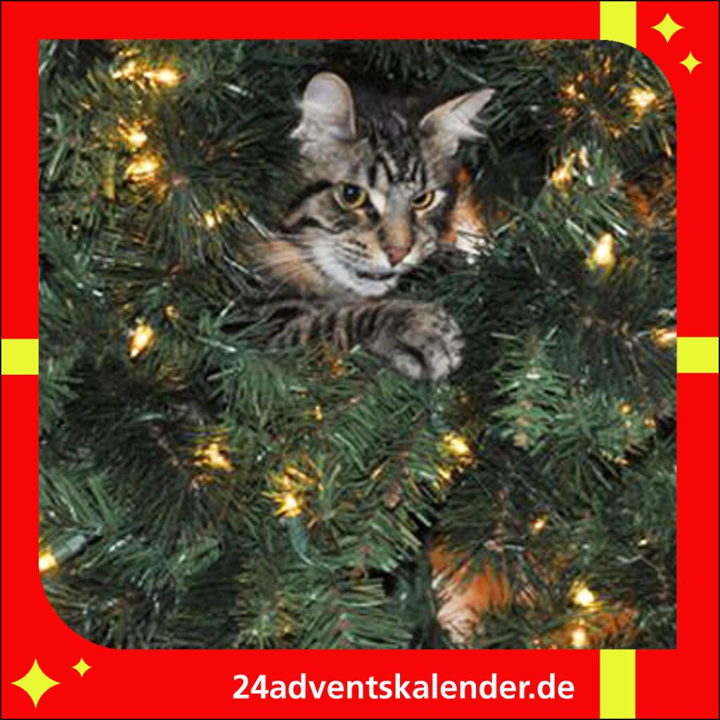 Die Katze hat den Weihnachtsbaum mit der Lichterkette belagert und erkundet ihn.