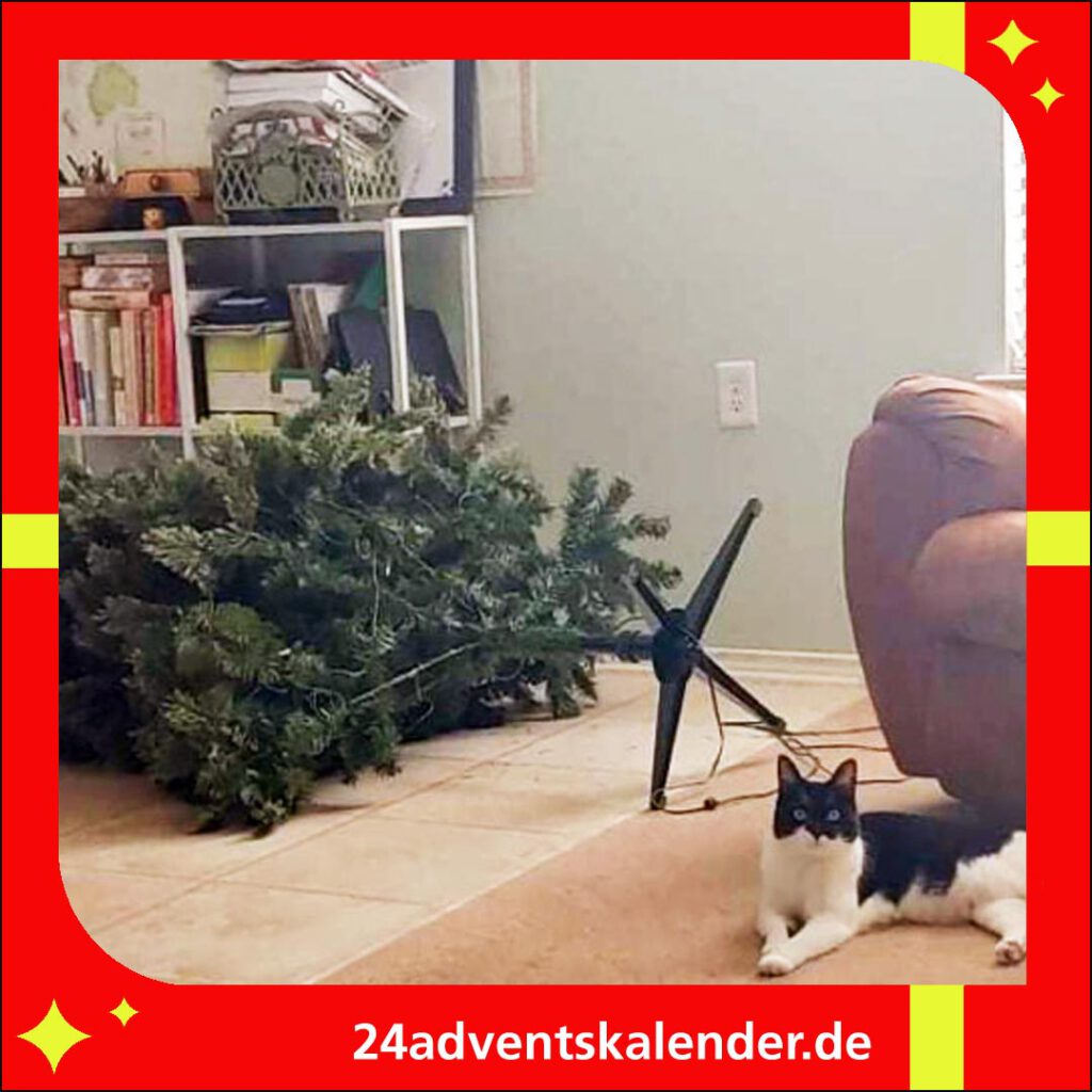 Zu Weihnachten ist der Tannenbaum aufgrund der Katze umgefallen, was für Aufregung sorgte.