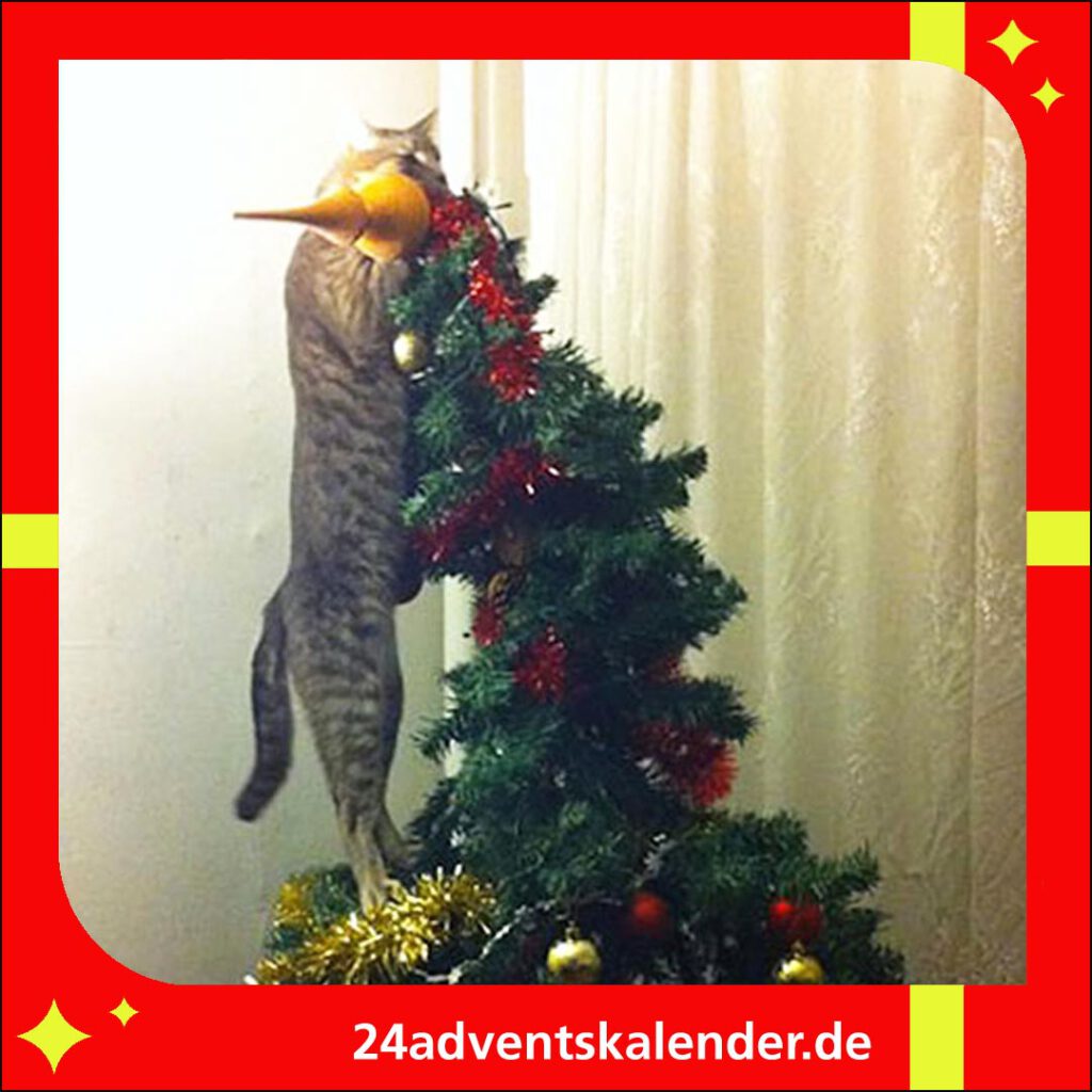 Die Katze beansprucht den Weihnachtsbaum mit dem Stern für sich.