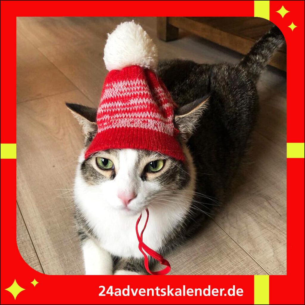 Mit einer lustigen Mütze auf dem Kopf freut sich die Katze auf Weihnachten.