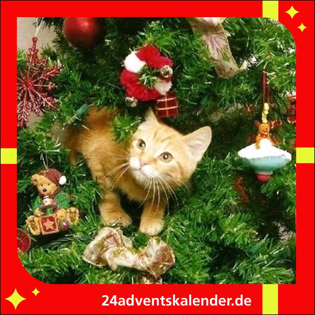 Die Weihnachtsdekoration im Baum fasziniert die Katze.