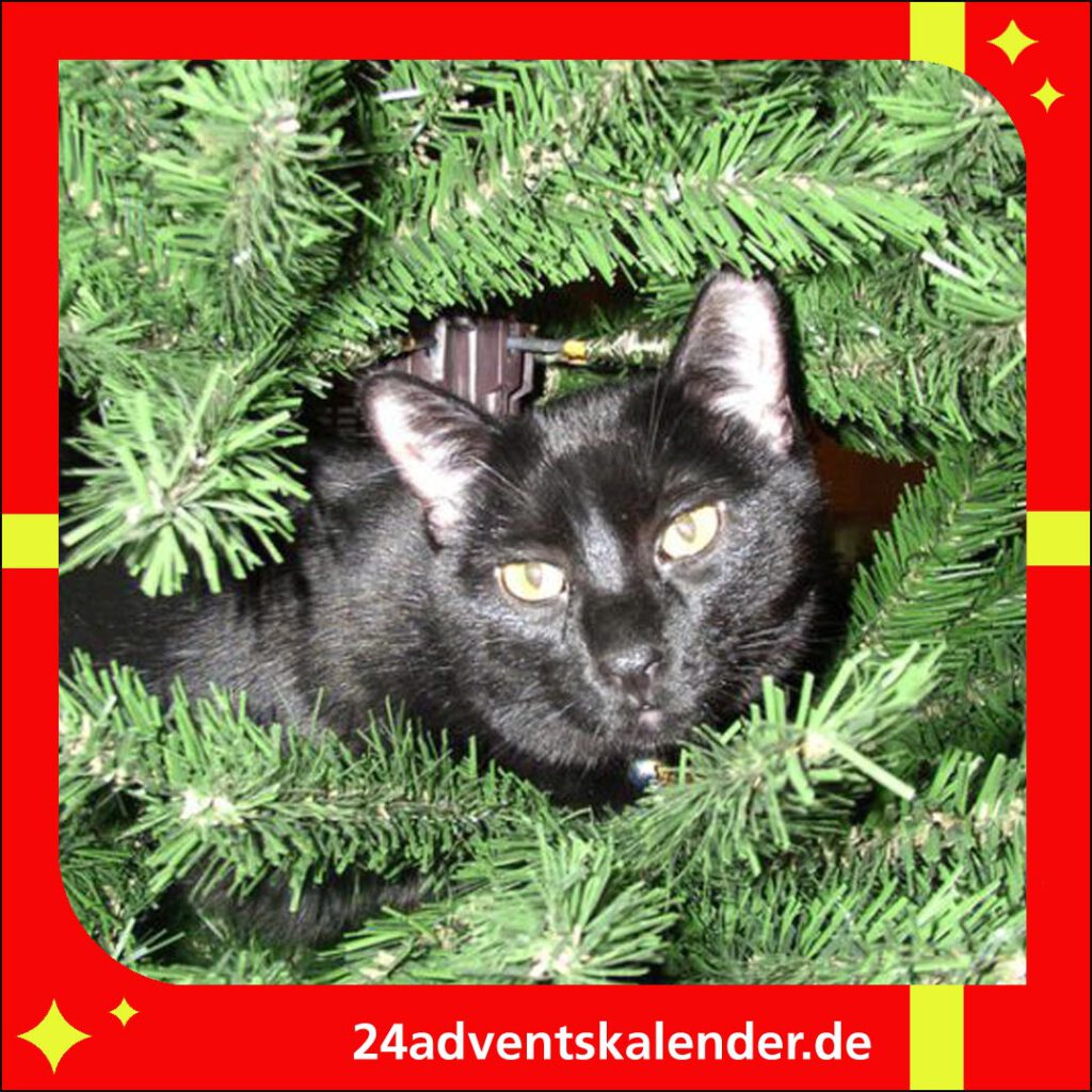 Die Tanne wird von der Katze als Spielzeug für Weihnachten genutzt.