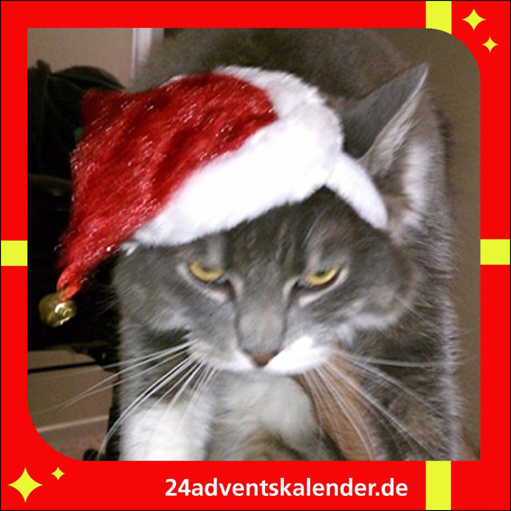 Eine Katze, die als Nikolaus verkleidet ist und eine Mütze trägt, macht Weihnachten besonders unterhaltsam.