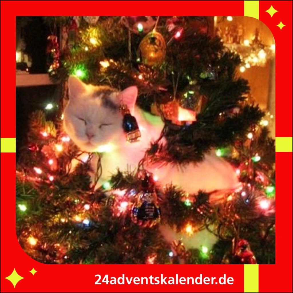 Zu Weihnachten findet man die Katze oft lustig im Weihnachtsbaum sitzend.