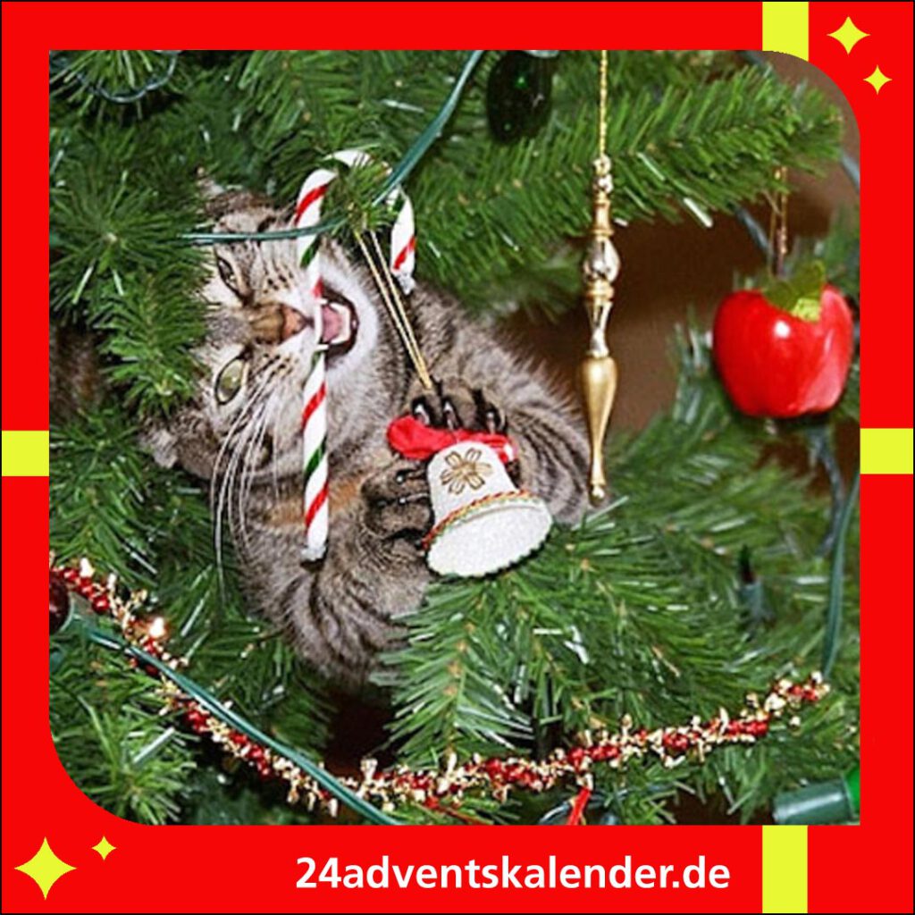 Frech und verspielt klettert die Katze zu Weihnachten gerne in den Tannenbaum.