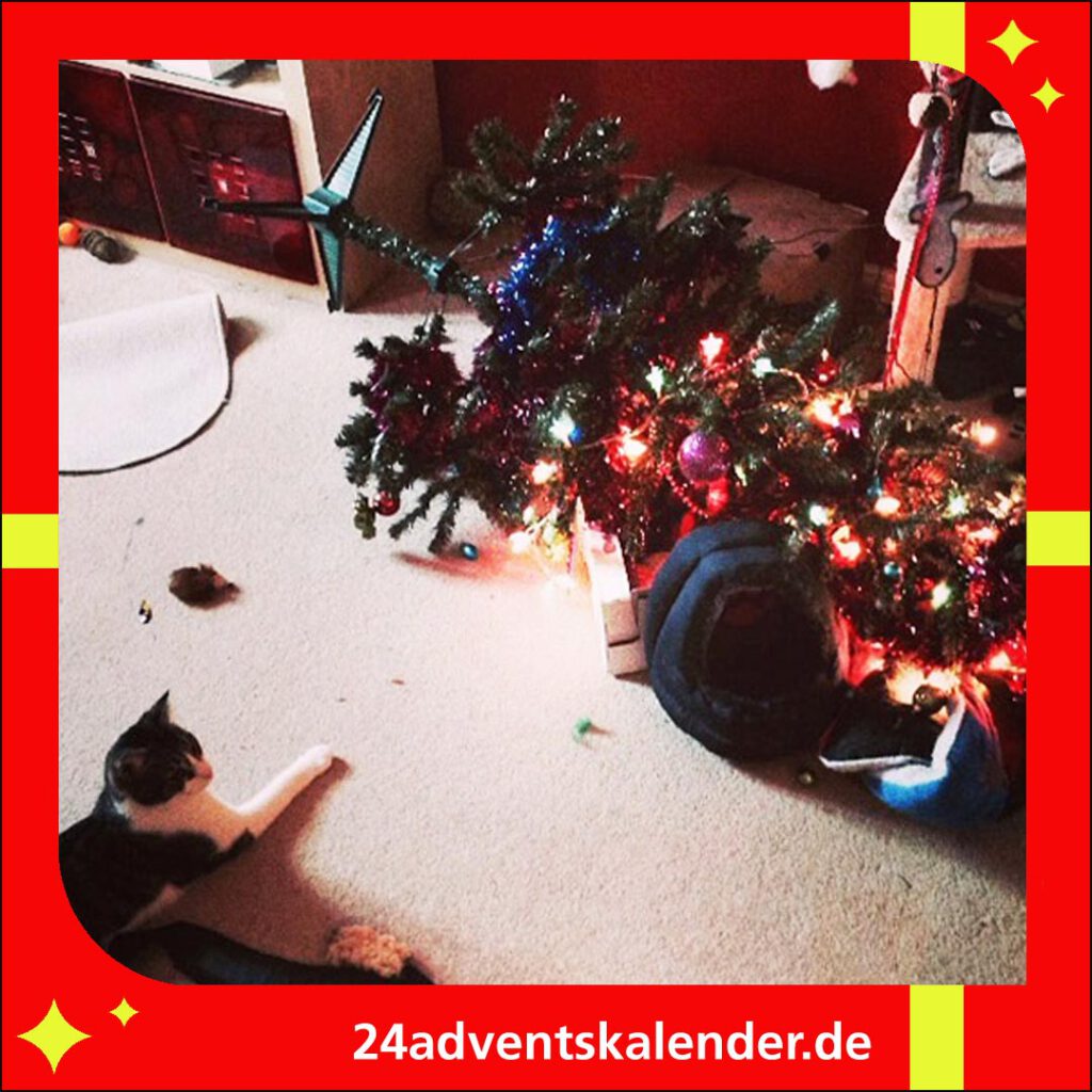 Der Weihnachtsbaum wird für die Katze zu einem unterhaltsamen Spielzeug an Weihnachten.