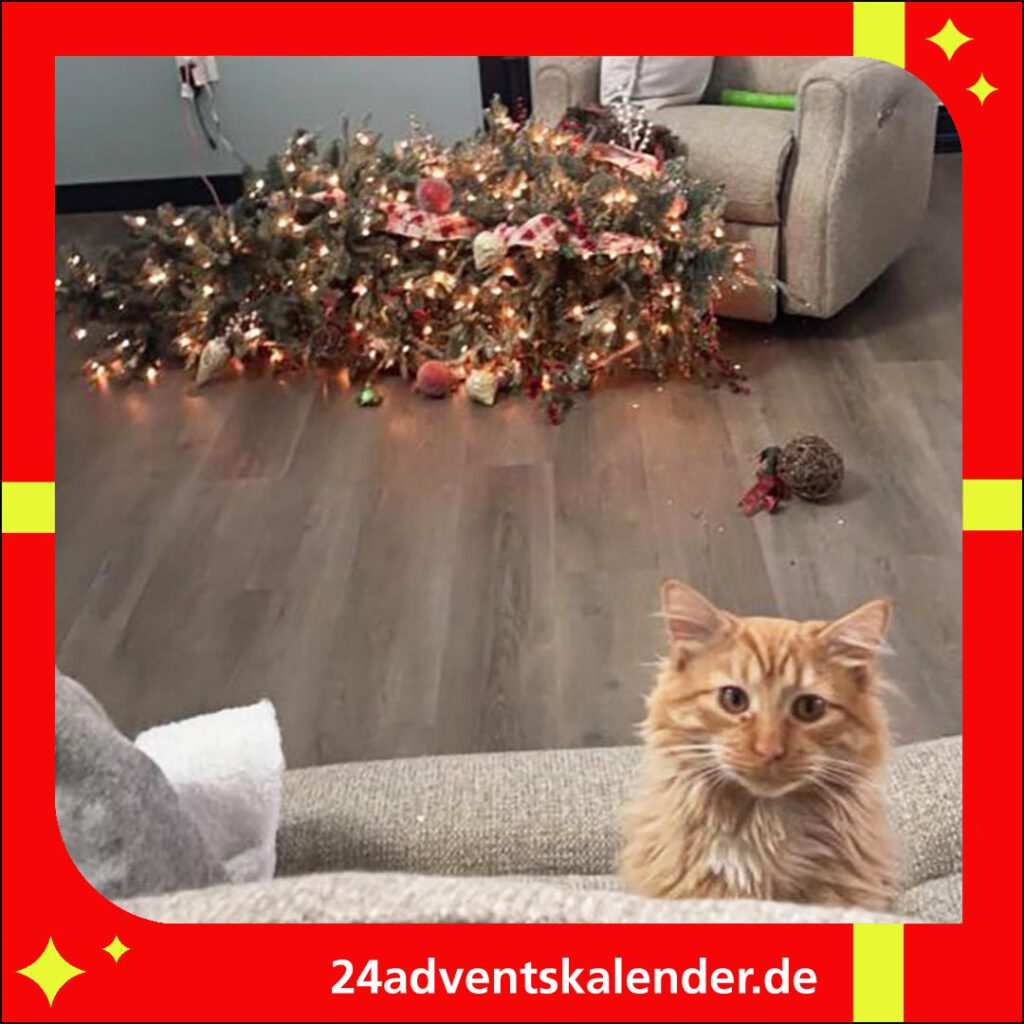 Zu Weihnachten blicken die Katzen unschuldig aus dem Weihnachtsbaum.