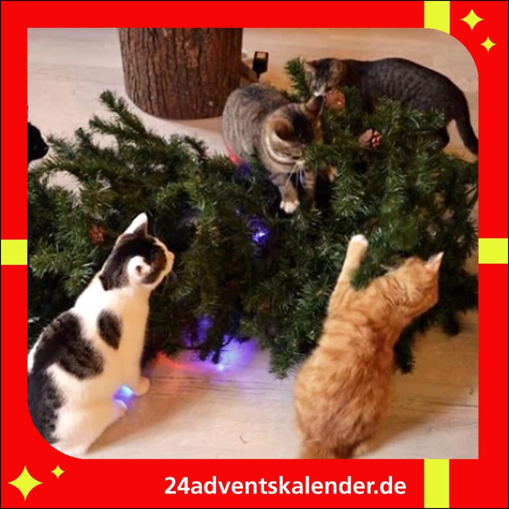 Der Weihnachtsbaum war schon immer ein Spielzeug für die Katzen.