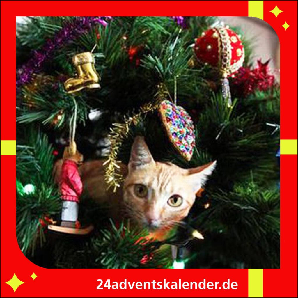Der Weihnachtsbaum dient den Katzen als perfektes Versteck.