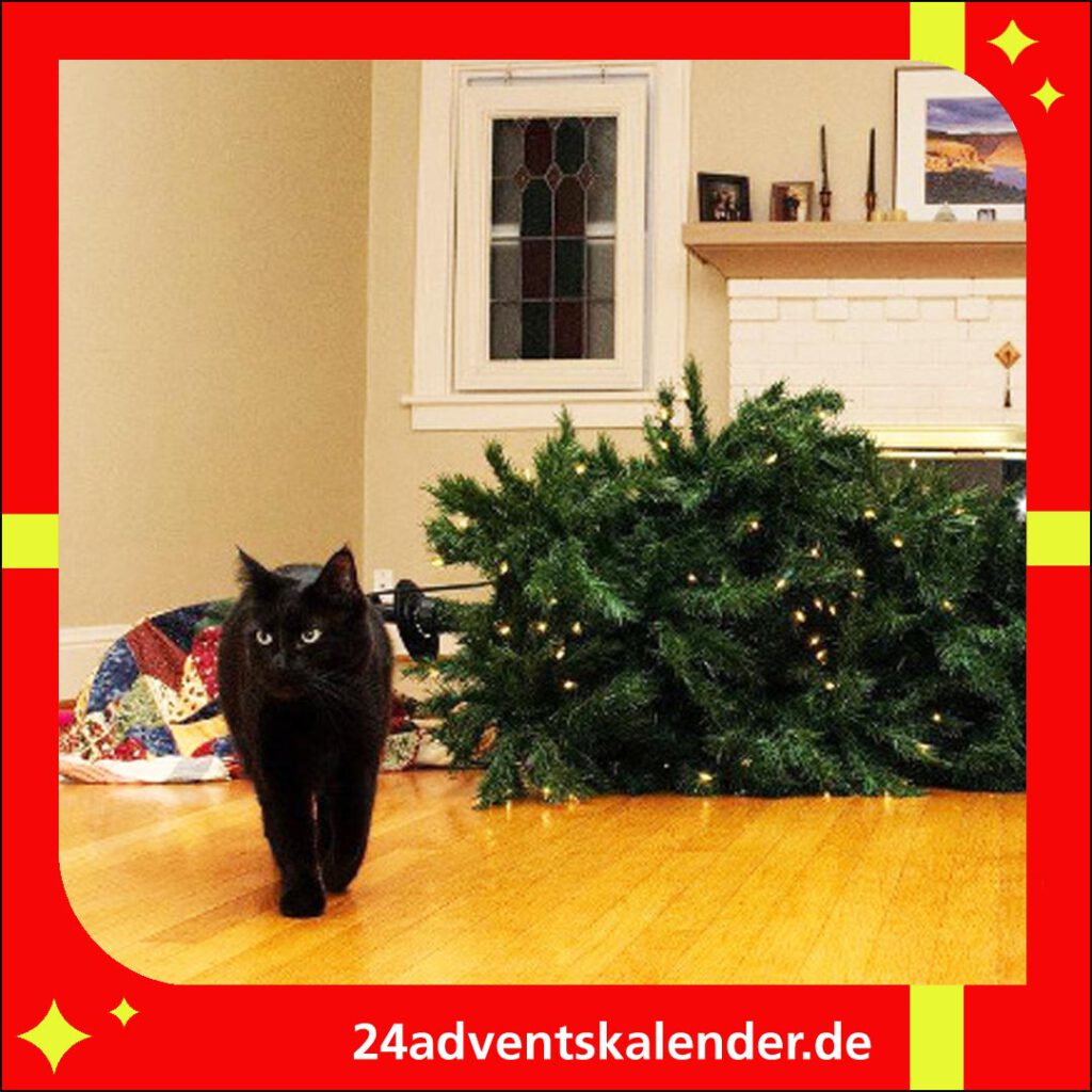 Die Katzen haben den Weihnachtsbaum zum Fest umgeworfen.