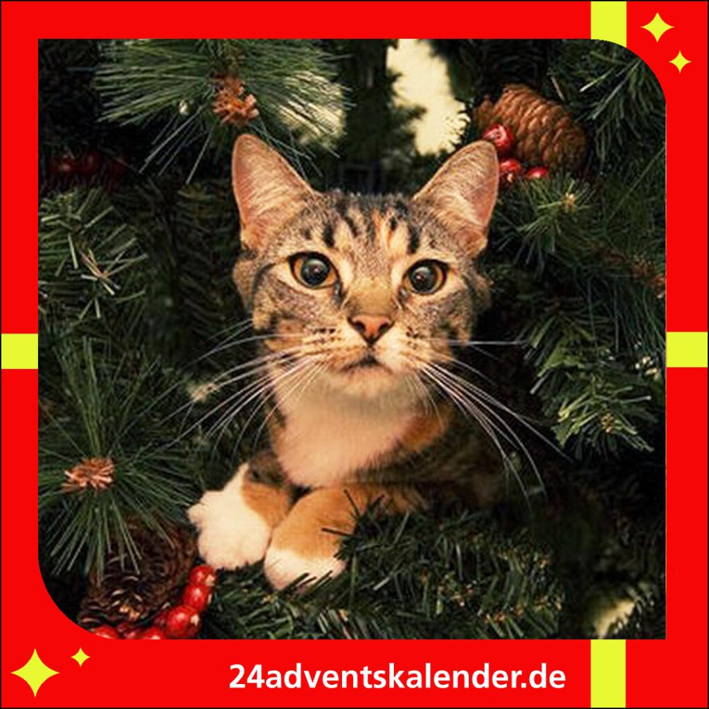 Verspielt tollen die Katzen im Weihnachtsbaum herum und bringen Freude.