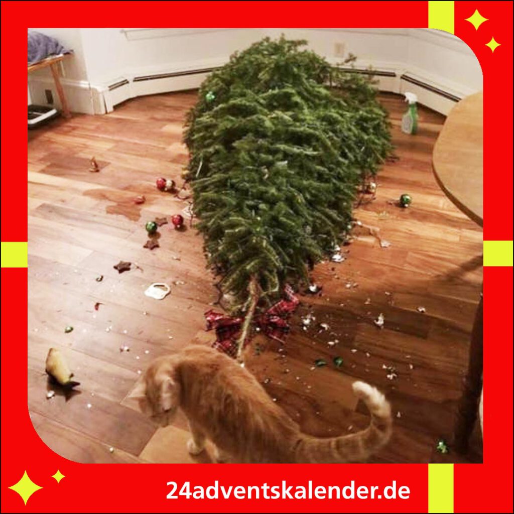 Am Weihnachten zeigen die Katzen ihre kämpferische Seite gegenüber dem Baum.