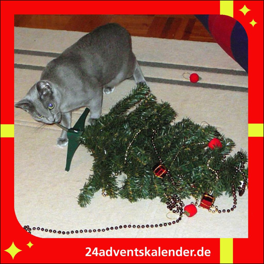 Die Katzen haben eine Vorliebe für den Weihnachtsbaum als Spielzeug.