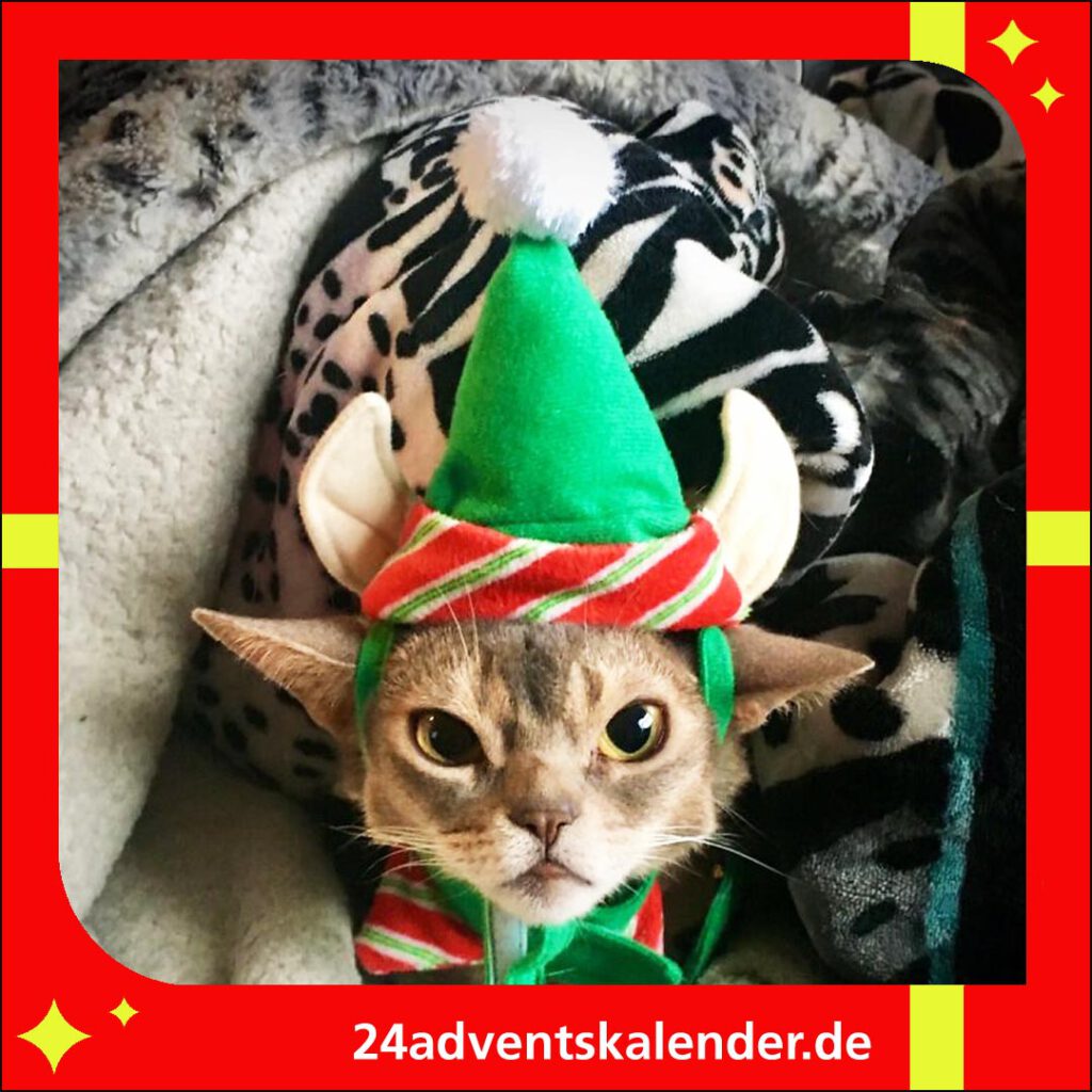 Zum Weihnachtsfest verkleiden sich die Katzen gerne als Grinch mit Mütze.