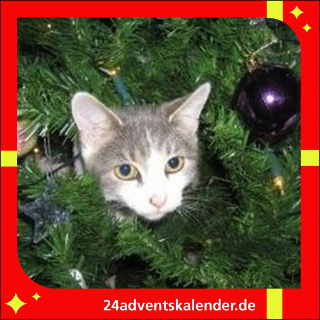 Zu Weihnachten entspannen die Katzen gemütlich im Tannenbaum.