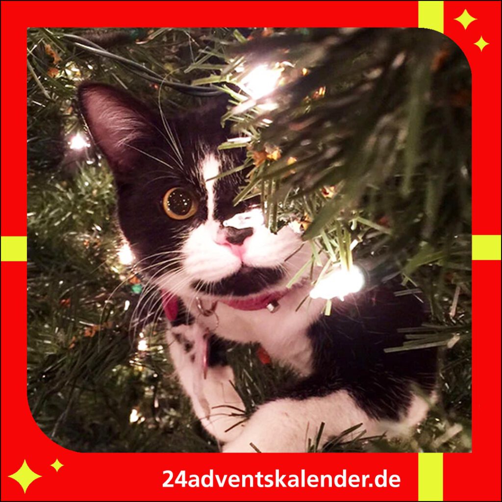 Katzen lieben es, sich an Weihnachten im festlich geschmückten Baum zu verstecken.