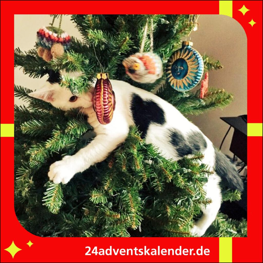 Der Weihnachtsbaum wird für Katzen zu einer abenteuerlichen Spielwiese an Heiligabend.