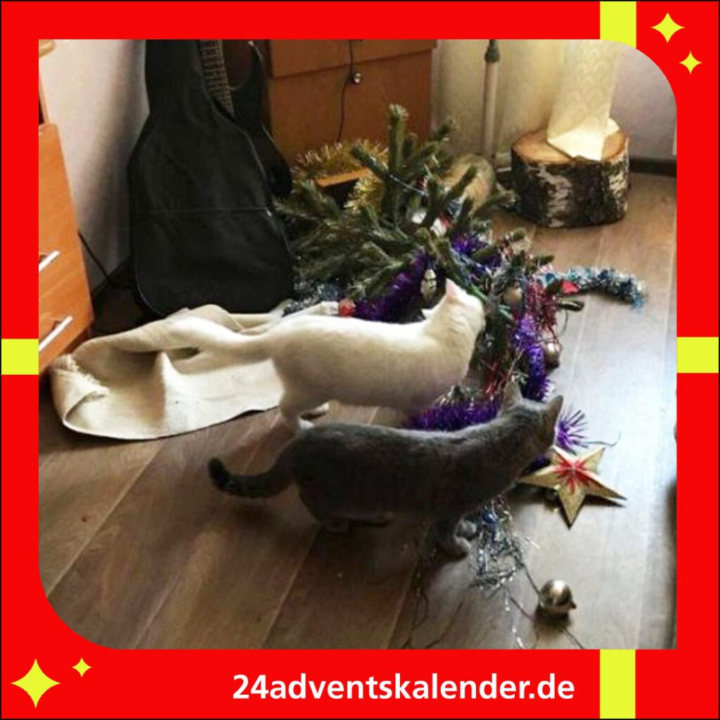 An Weihnachten haben Katzen großen Spaß daran, mit dem festlichen Baum zu interagieren.