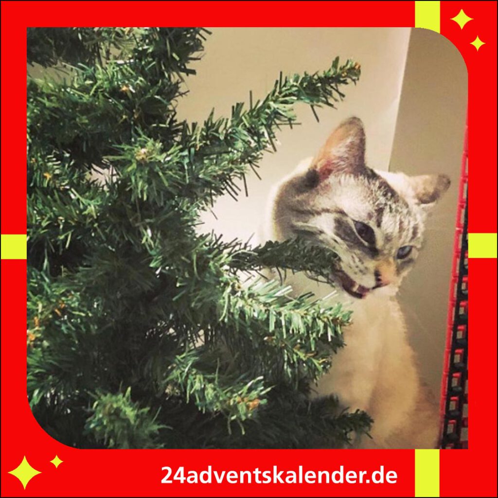 Zu Weihnachten entdecken Katzen den Weihnachtsbaum als unterhaltsame Attraktion.