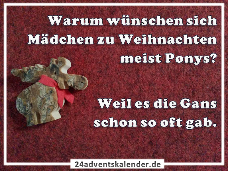 Witz über das kleine Mädchen und ihr unerwartetes Abenteuer mit einem Pony an Weihnachten.